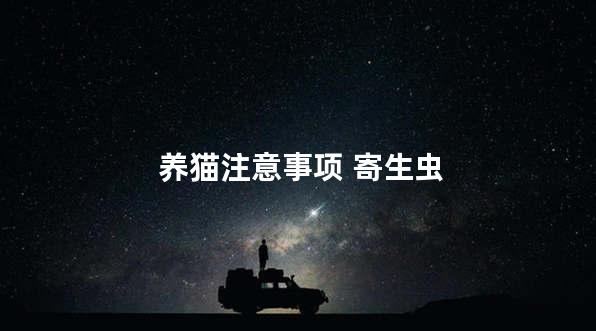 养猫注意事项 寄生虫